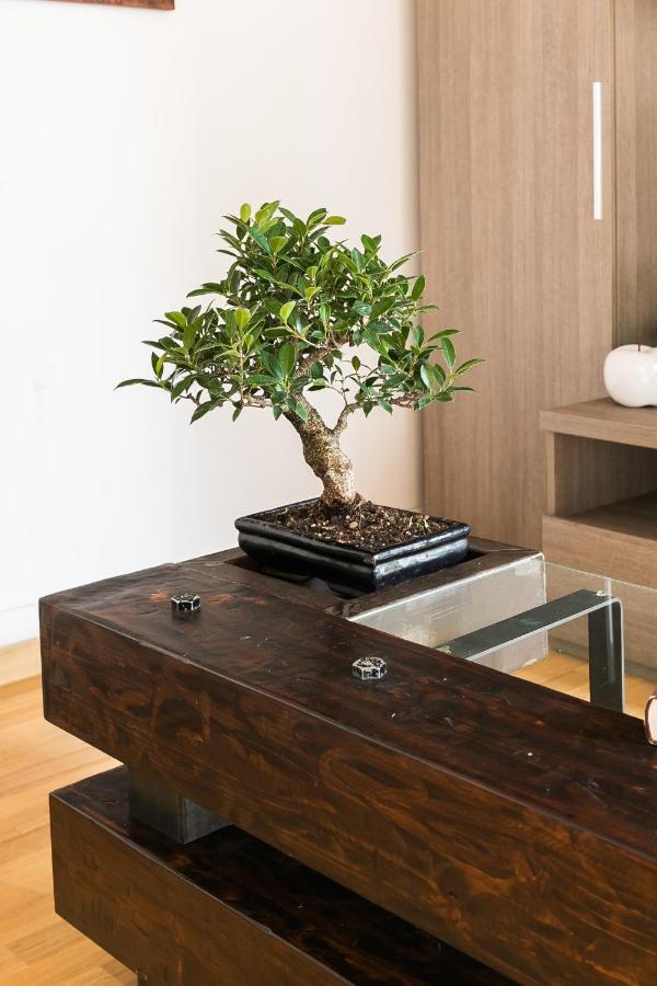 Apartment House Borgo Pio 195